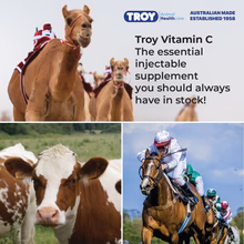 Troy Vitamin C Injection 100ml