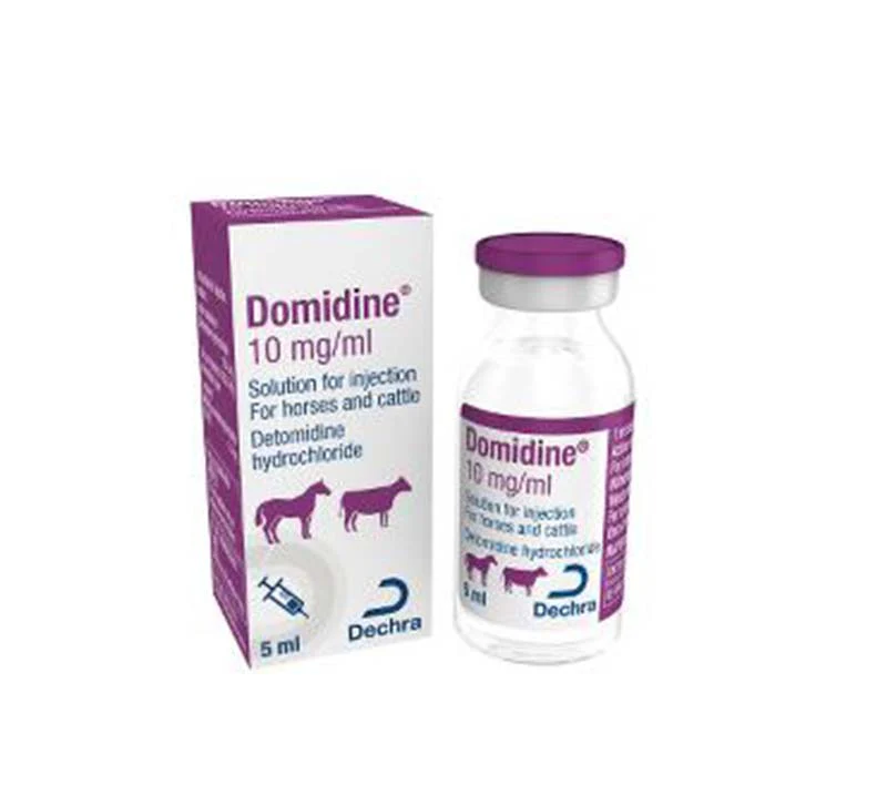 Domidine® Injection 5ml