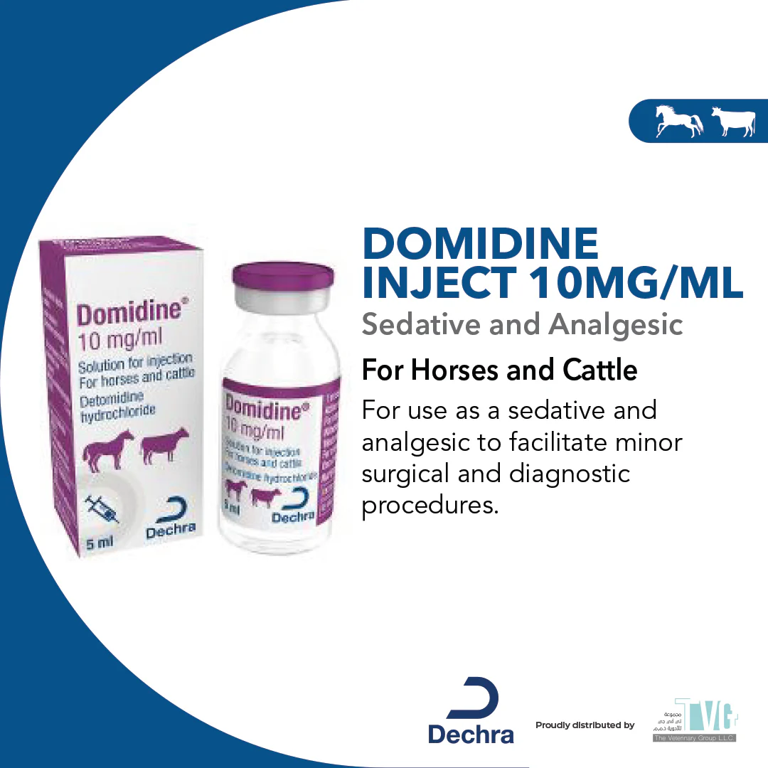 Domidine® Injection 5ml