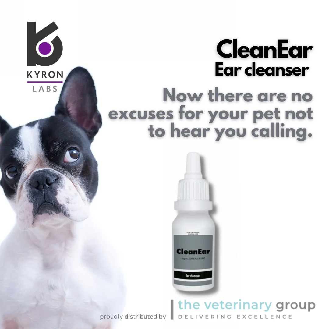 CleanEar Solution 30ml