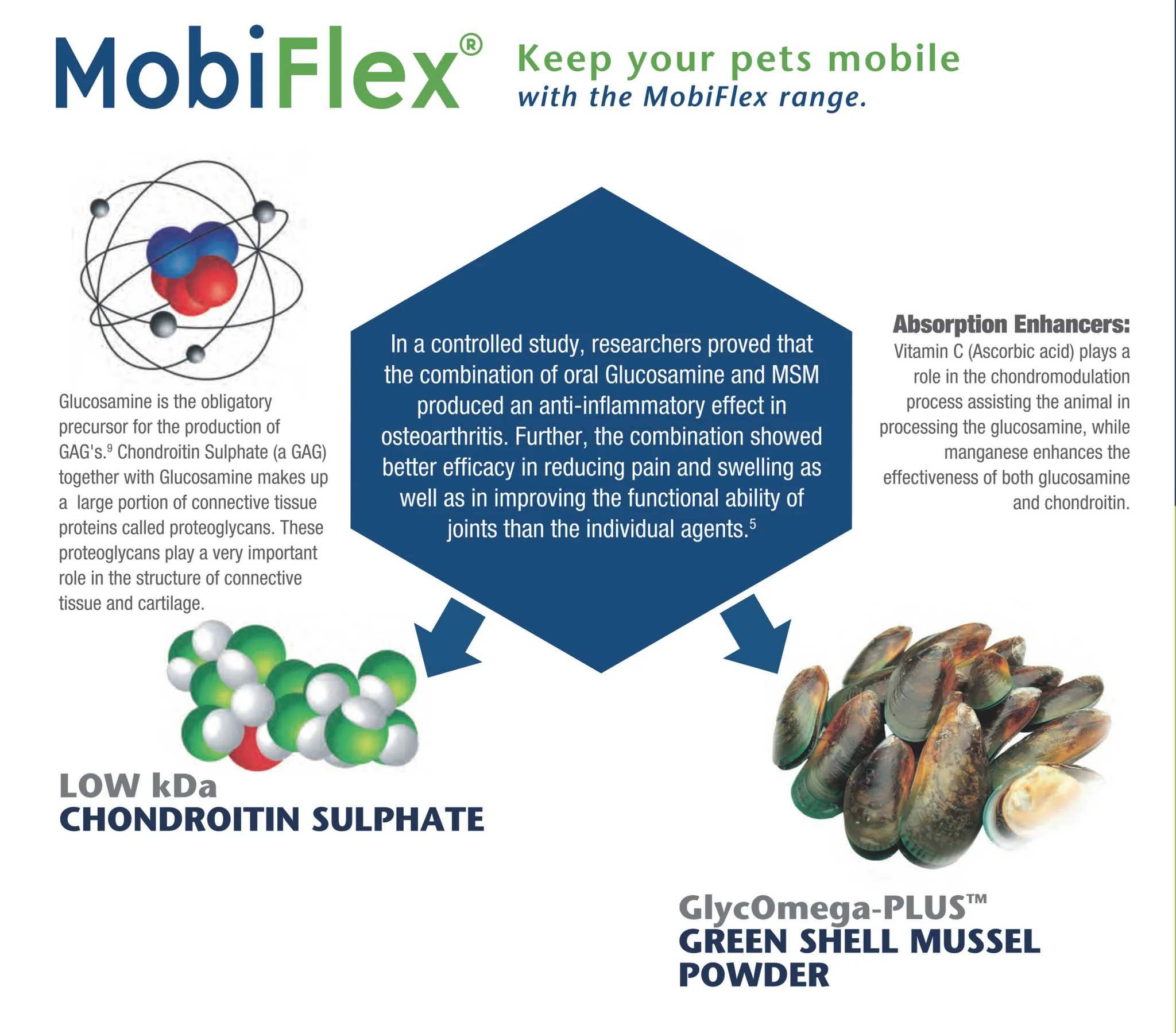 MobiFlex® Mobility Supplement 250g