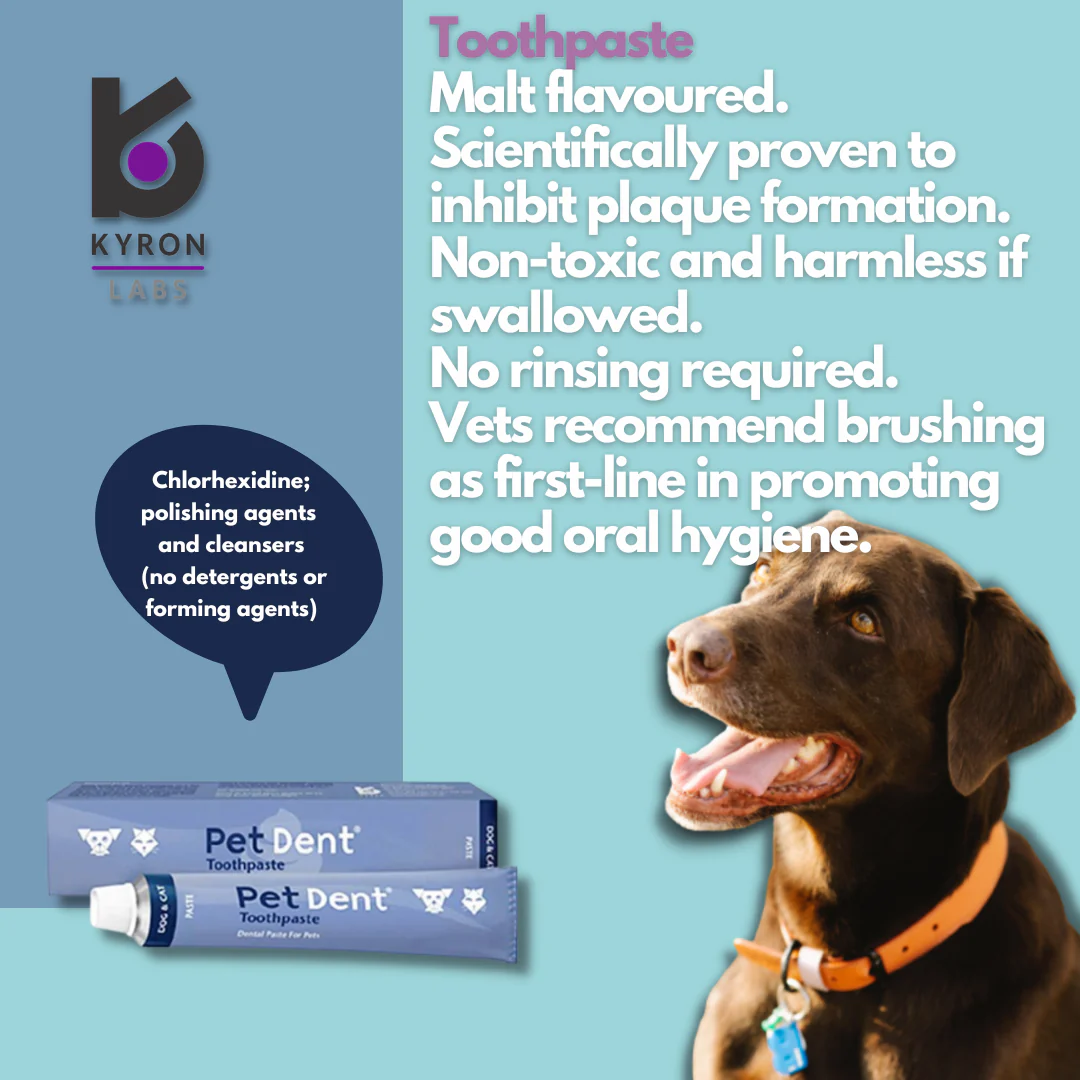PetDent® Toothpaste 60g
