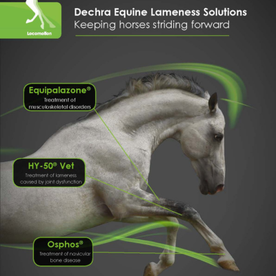 HY-50® Vet 17mg/ml solution for Injection 3ml
