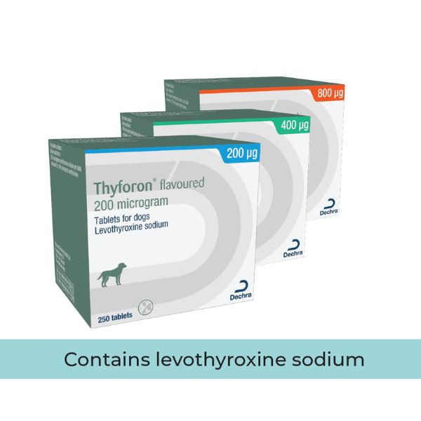 Thyforon® Flavoured Tablets 200mg