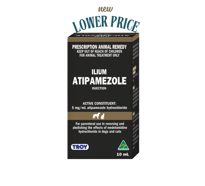 ilium Atipamezole Injection 10ml