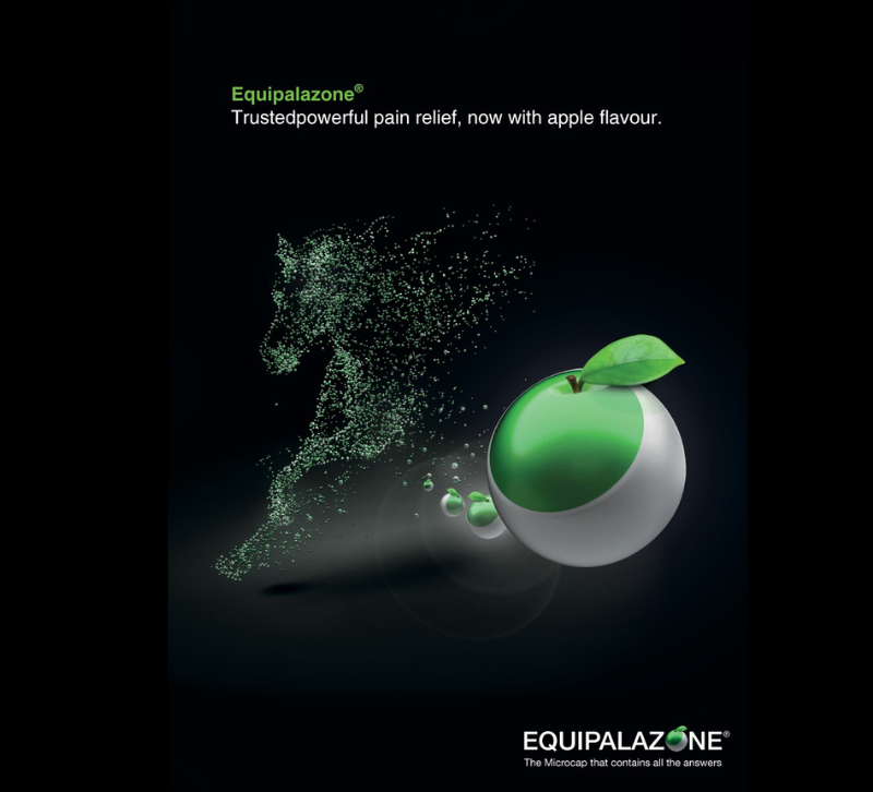 Equipalazone® Oral Powder 1gx100