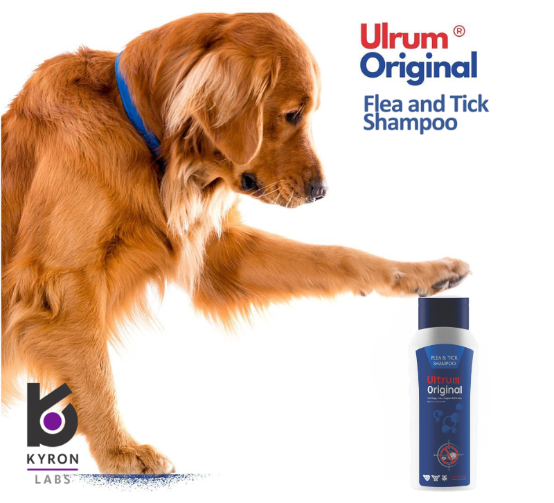 Ultrum® Original Shampoo 250ml