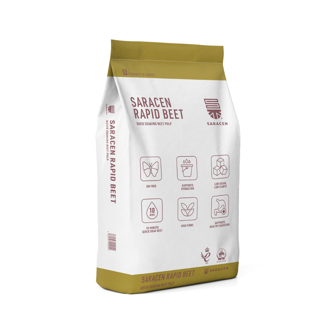 SARACEN RAPID BEET