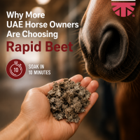 rapid beet from Saracen Horse feeds 