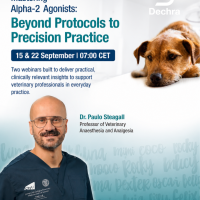 Dr Paulo Steagall presenting Dechra’s Mastering Alpha-2 Agonists veterinary anaesthesia webinar series, 15 and 22 September 2026