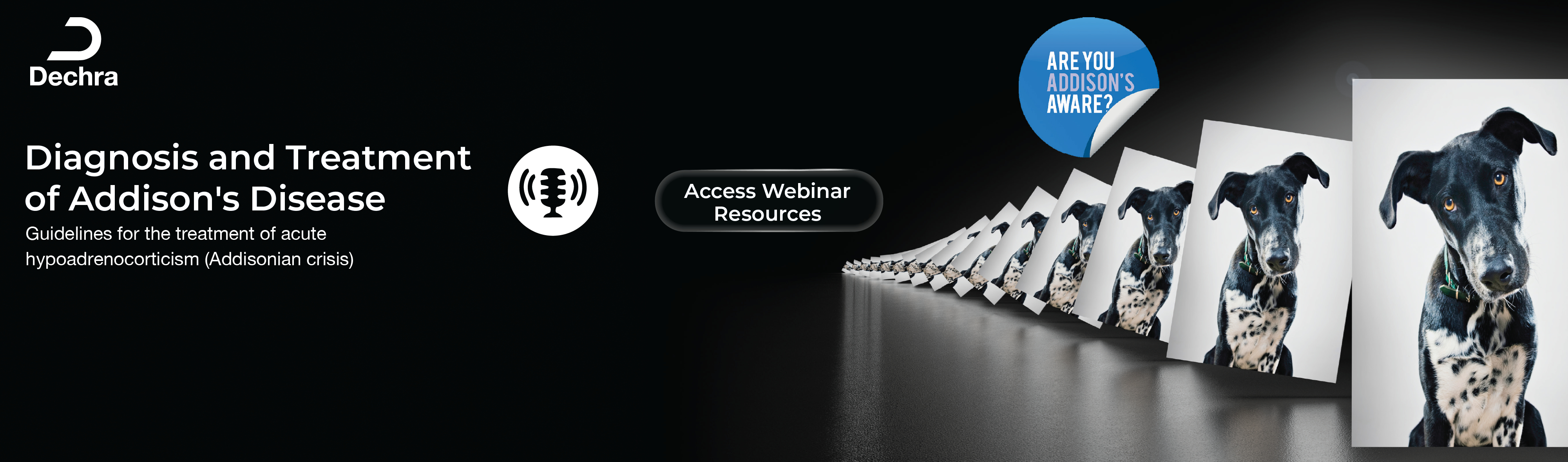 Dechra Webinar resources addisons