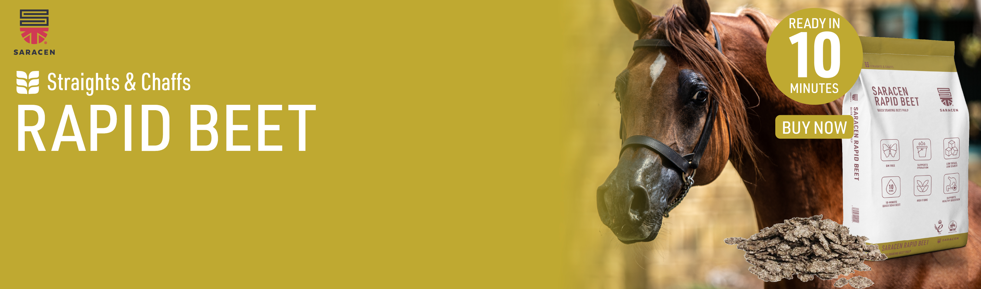 saracen rapid beet 