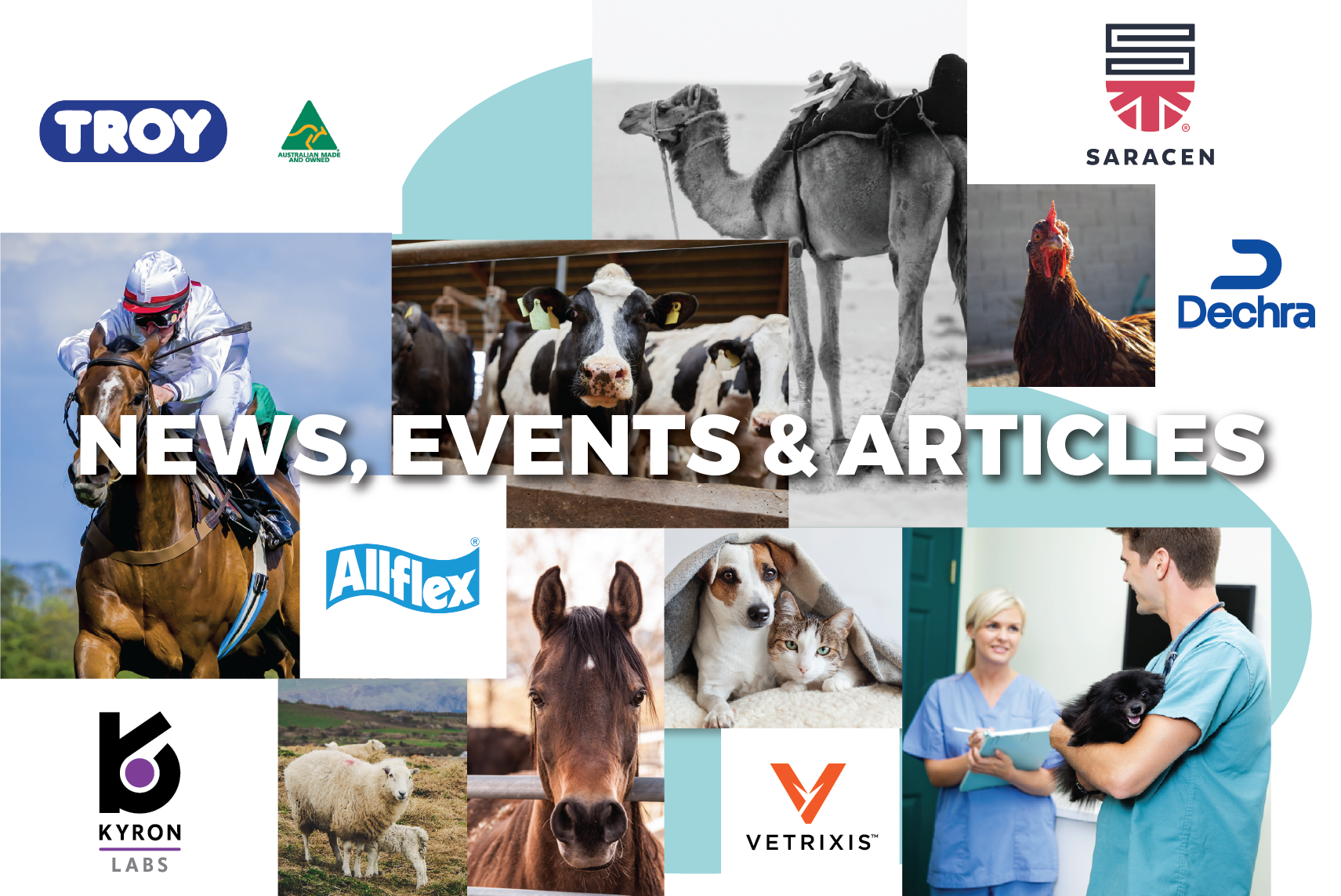 TVG news, events and articles