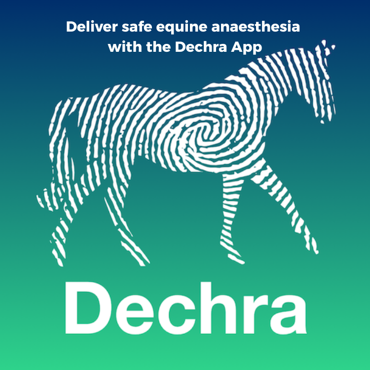 Smarter Equine Anaesthesia - Powered by Dechra Pharmaceuticals