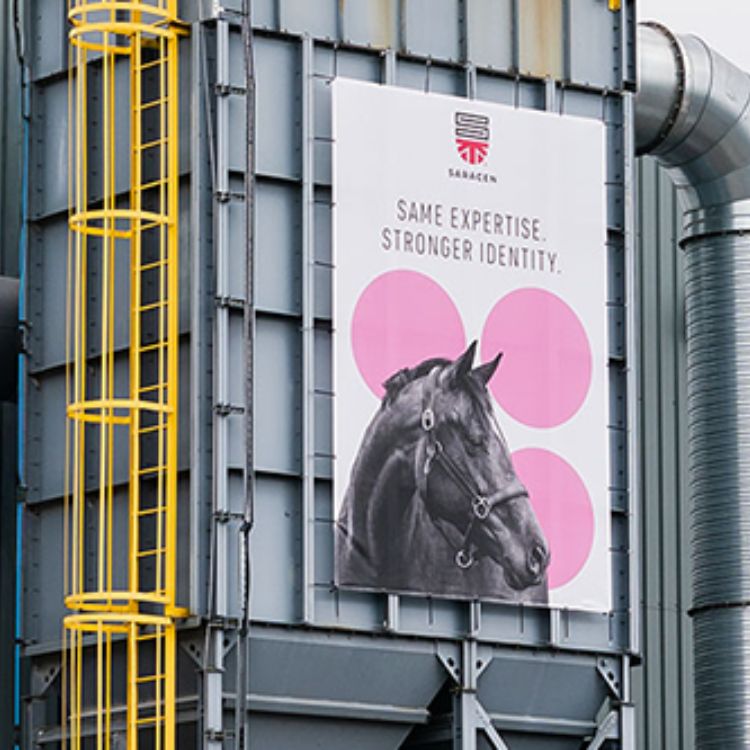 Saracen Horse Feeds Gets a Fresh New Look!  Same Science-Backed Nutrition, new packaging to reach the UAE soon 