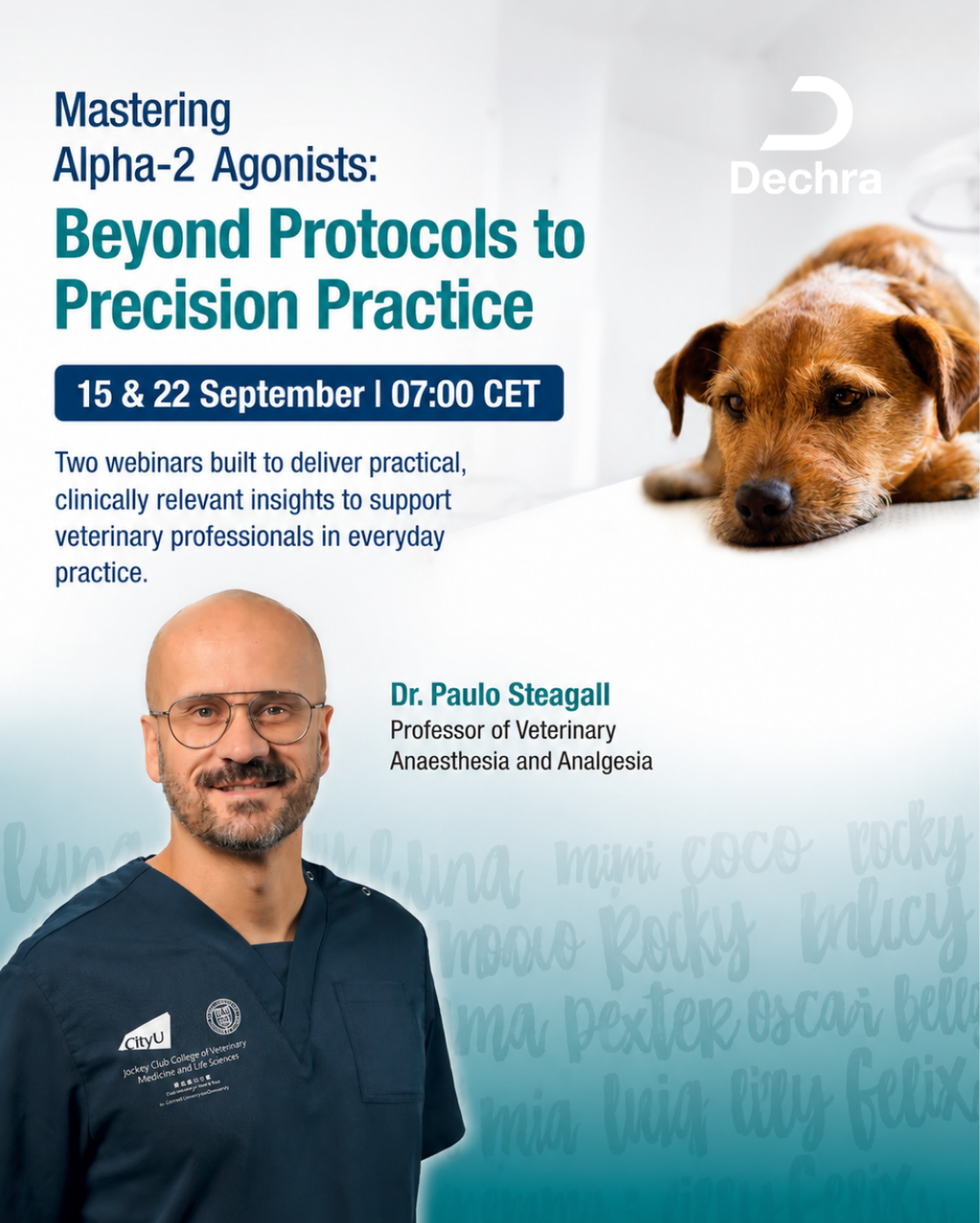 Dr Paulo Steagall presenting Dechra’s Mastering Alpha-2 Agonists veterinary anaesthesia webinar series, 15 and 22 September 2026